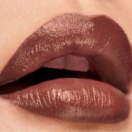 Elizabeth Arden|Batom Elizabeth Arden Lip Color Nº 05 Ambtous mauve matte 4 g
