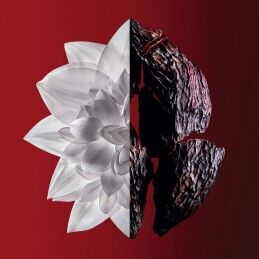 Givenchy|Perfume Mulher Givenchy L'Interdit Rouge Ultime 35 ml