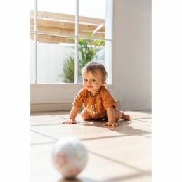 Nathan|Jogo Educativo Nathan Exploration ball