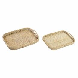 Quid|Taça para Aperitivos Quid Select Basic Preto Melamina 15 cm (24 Unidades)