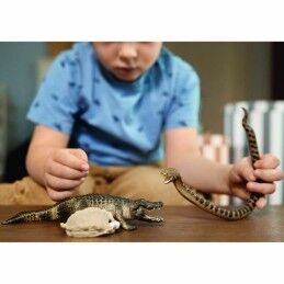 Schleich|Playset Schleich Alligator/Anaconda Duel Set 4 Peças