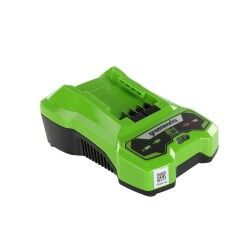 Greenworks|Bateria de lítio recarregável Greenworks 2932407 220-240 V