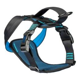 Company of Animals|Arnês para Cães Company of Animals Carsafe Crash Tested 54 cm Azul De viagem M