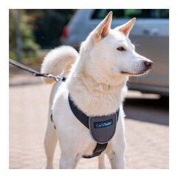 Company of Animals|Arnês para Cães Company of Animals CarSafe Preto Tamanho M