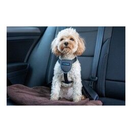 Company of Animals|Arnês para Cães Company of Animals CarSafe Preto Tamanho M