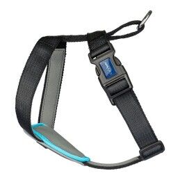 Company of Animals|Arnês para Cães Company of Animals CarSafe Preto Tamanho M