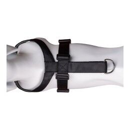 Company of Animals|Arnês para Cães Company of Animals CarSafe Preto Tamanho M