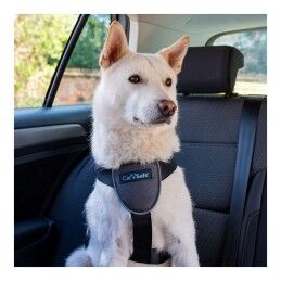 Company of Animals|Arnês para Cães Company of Animals CarSafe Preto Tamanho M