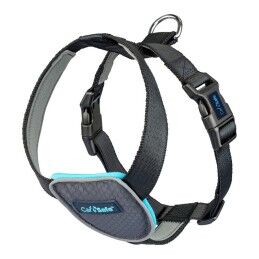 Recaro|Assento de Corrida Recaro RC041000575 Piloto / Copiloto