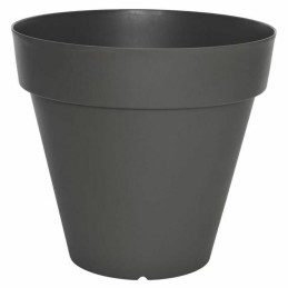 Vaso Riviera 50 ml Cinzento