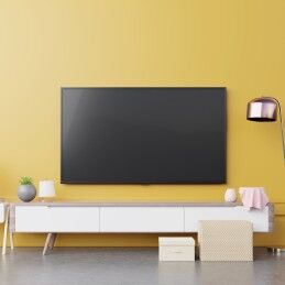 TM Electron|Suporte TV TM Electron 45 kg