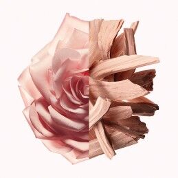 Givenchy|Perfume Mulher Givenchy IRRESISTIBLE NUDE VELVET EDP 50 ml
