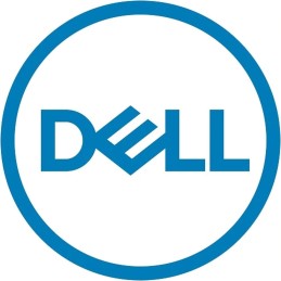 Memoria Flash Dell 385-BBKK