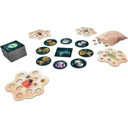 Asmodee|Jogo de Mesa Asmodee Dream Catcher FR