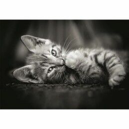 Clementoni|Puzzle Clementoni Kitty 1000 Peças