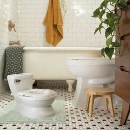 Ingenuity|Urinol Ingenuity
