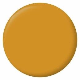 Ripolin|Quadro Ripolin Jaune 2,5 L