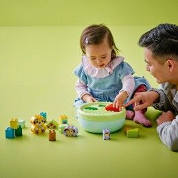 Lego|Jogo de Construção Lego 10441 17 Peças
