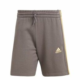 Rip Curl|Calças Desportivas Rip Curl  Striped TrackPant Mulher