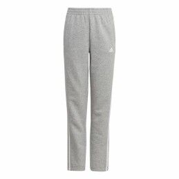 Ditchil|Leggings de Desporto de Mulher Ditchil Magny Azeitona
