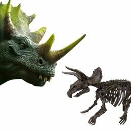 SES Creative|Jogo de Escavação SES Creative Triceratops