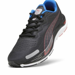 Sapatilhas de Running para Adultos Puma Velocity Nitro 2 Preto Homem