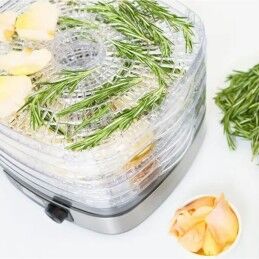 Mpm|Desidratador de Alimentos Mpm MSG-12 380 W