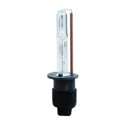 M-Tech|Lâmpada para Automóveis M-Tech MTECKDCMPH143 H1 4300K