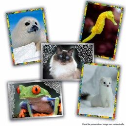 Panini|Álbum de cromos Panini Animaux
