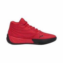Basquetebol|PowerStore