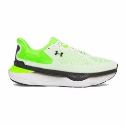 Campagnolo|Sapatilhas de Running para Adultos Campagnolo Oltremare Azul Azul Marinho Montanha