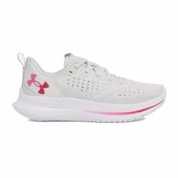 Altra|Sapatilhas de Running para Adultos Altra Olympus 6 Roxo