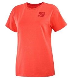 Under Armour|Camisola de Manga Curta Homem Under Armour Tech Vent Ss Cinzento claro