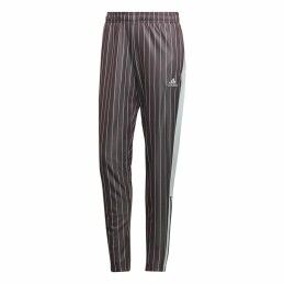 Only|Calças para Adultos Only Onlmissouri Reg Ank Cargo Nomad Mulher