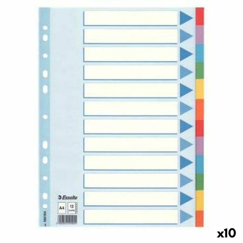 Esselte|Espaçadores Esselte Multicolor A4 (10 Unidades) Esselte|Espaçadores Esselte Multicolor A4 (10 Unidades)