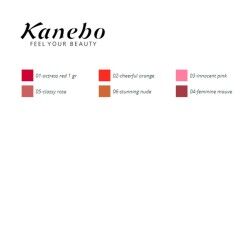 Kanebo|Delineador de Lábios Colours Kanebo