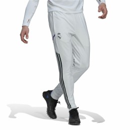 Calças de Treino de Futebol para Adultos Adidas Real Madrid Condivo 22 Branco Homem