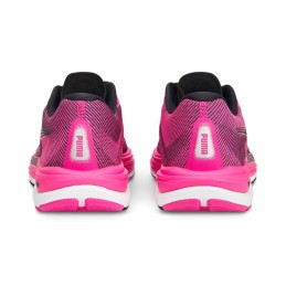 Sapatilhas de Running para Adultos Puma Velocity NITRO 2 Fúcsia Mulher