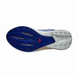 Sapatilhas de Running para Adultos Salomon Hypulse Gore-Tex Azul Claro Mulher