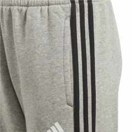 Calças Desportivas Infantis Adidas Cinzento