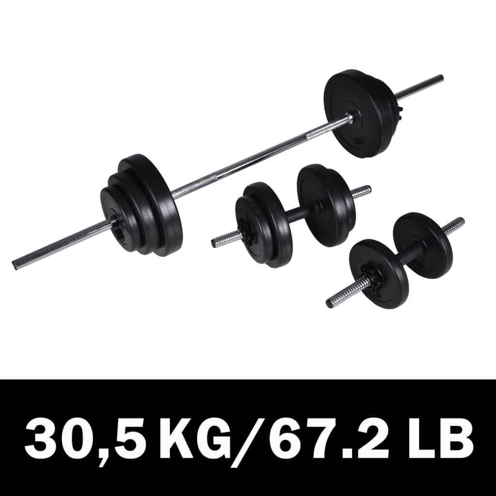 vidaXL Conjunto de barras e halteres 30,5 kg