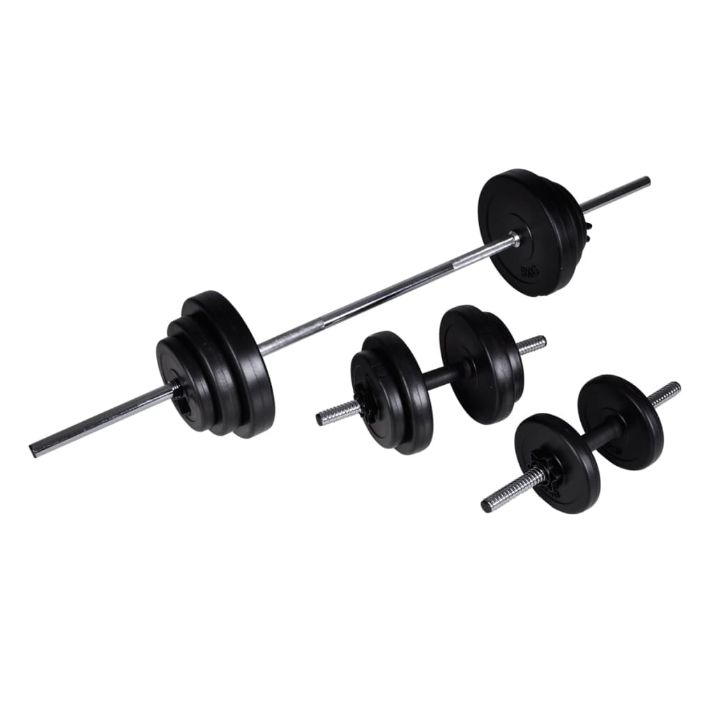 vidaXL Conjunto de barras e halteres 30,5 kg