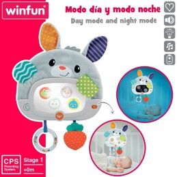 Winfun|Brinquedo de bebé Winfun Coelho 25 x 35 x 2,5 cm (4 Unidades)