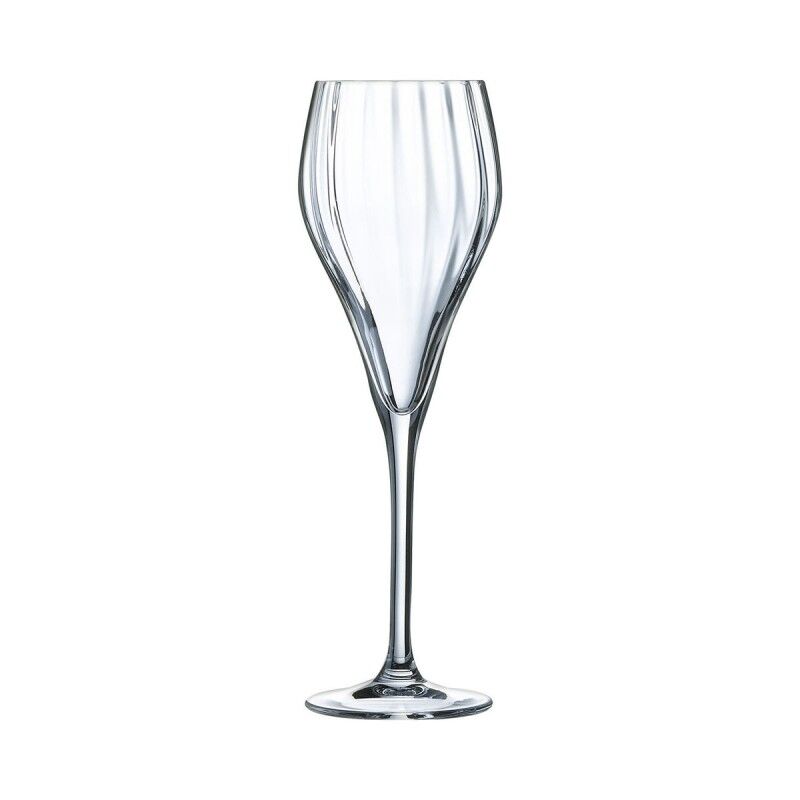 C&S|Conjunto de Copos Chef & Sommelier Symetrie Transparente Vidro 160 ml Champanhe 6 Unidades C&S|Conjunto de Copos Chef & Sommelier Symetrie Transparente Vidro 160 ml Champanhe 6 Unidades