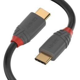 Nintendo|Cabo USB Nintendo 10016155 Multicolor