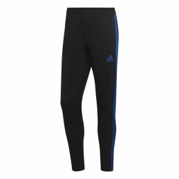 Calças de Treino de Futebol para Adultos Adidas Tiro Preto Homem