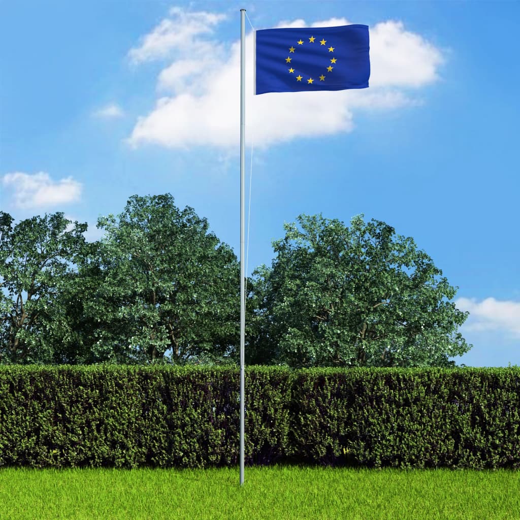 vidaXL Bandeira da Europa 90x150 cm