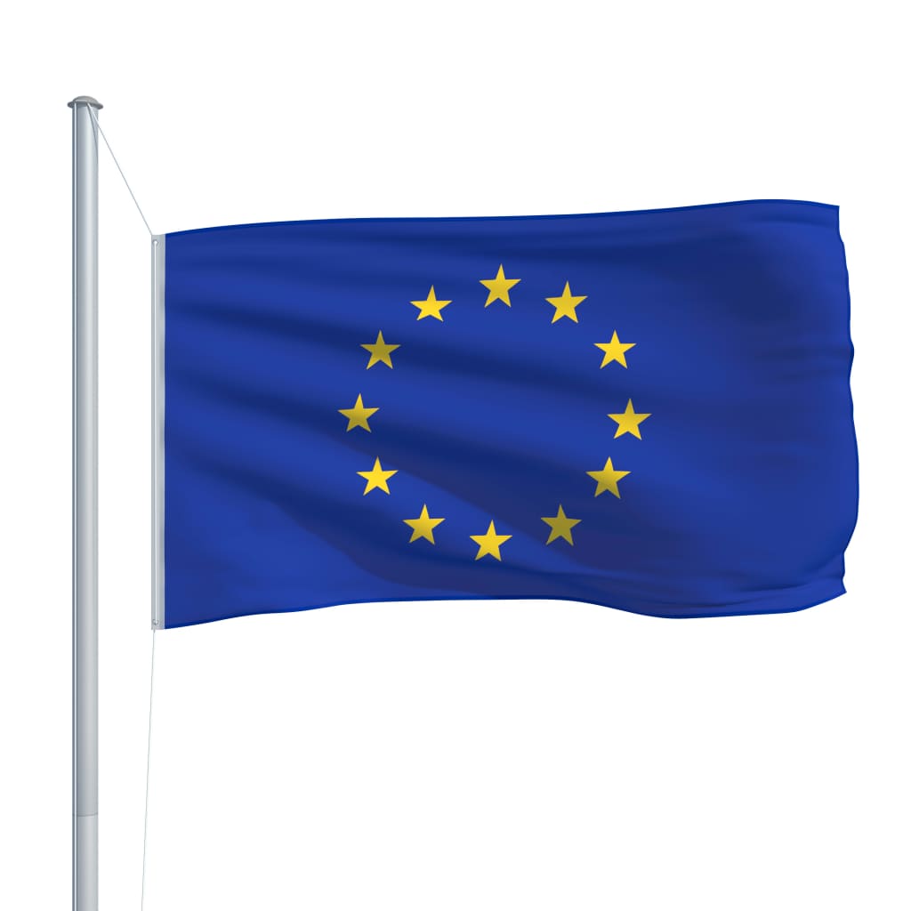 vidaXL Bandeira da Europa 90x150 cm