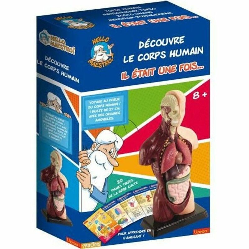 Educa|Jogo de Ciência Educa HELLO MAESTRO Bust Anatomy (FR)