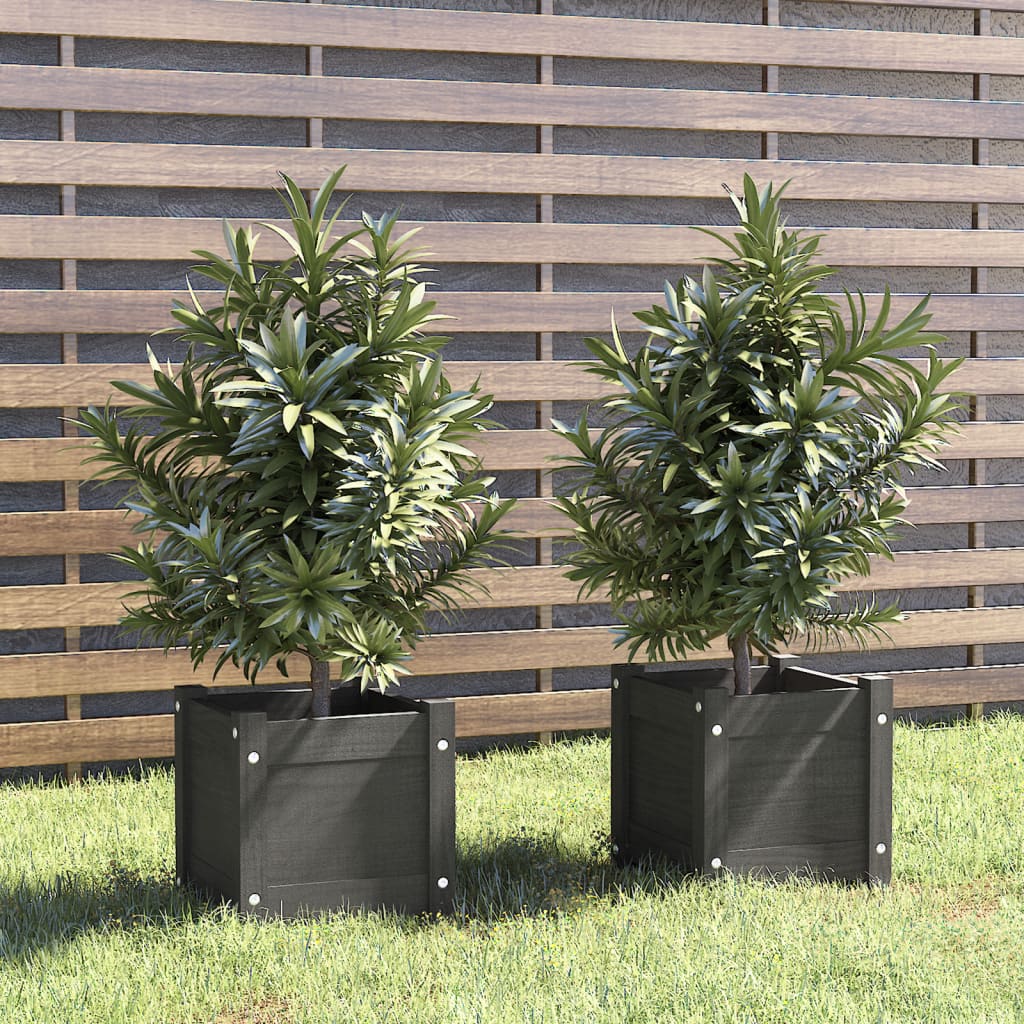 vidaXL Vasos/floreiras de jardim 2 pcs 31x31x31 cm pinho maciço cinza